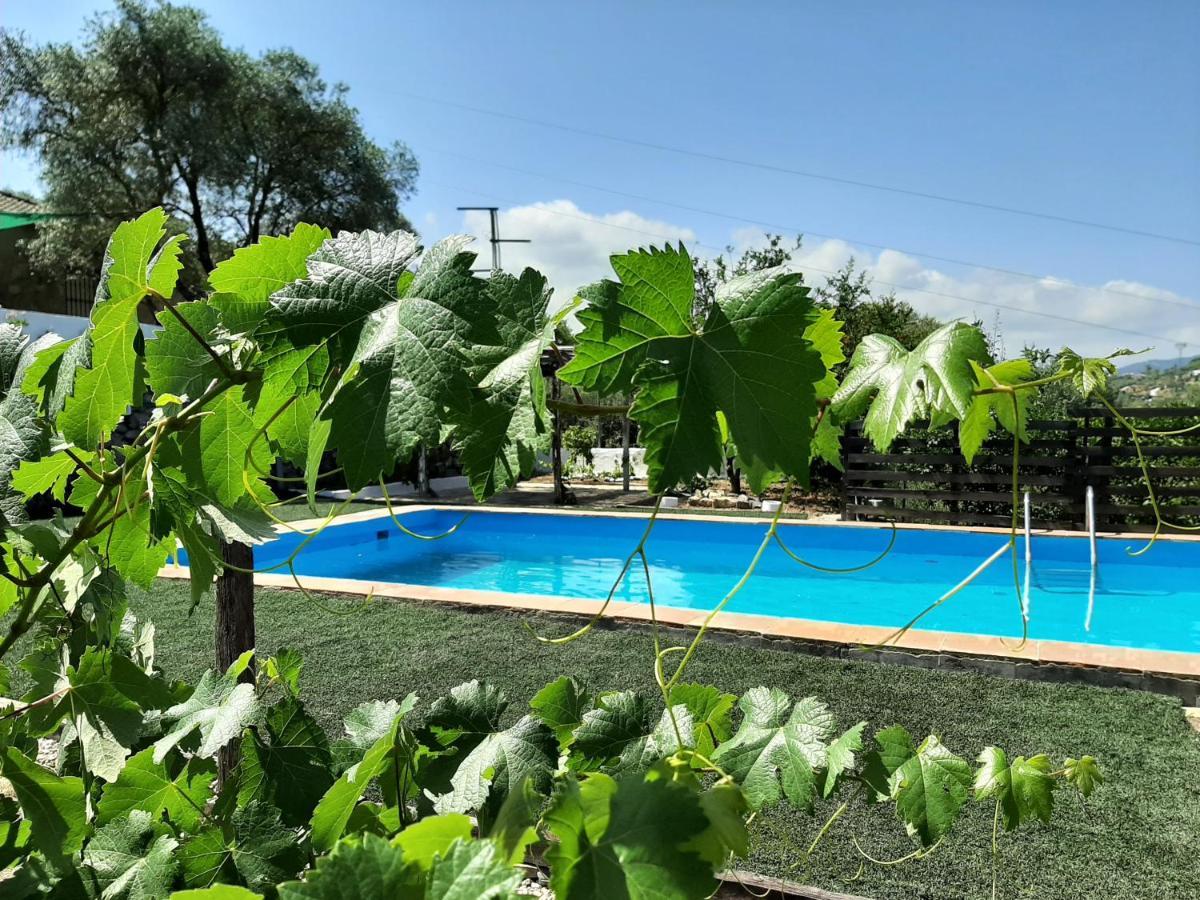 Vivienda Rural Maestro Herrador ウブリケ エクステリア 写真